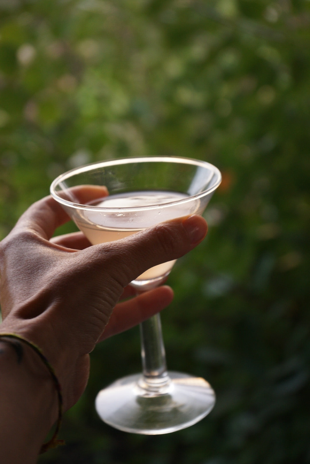 Bumbieri · Laims · Samtenes