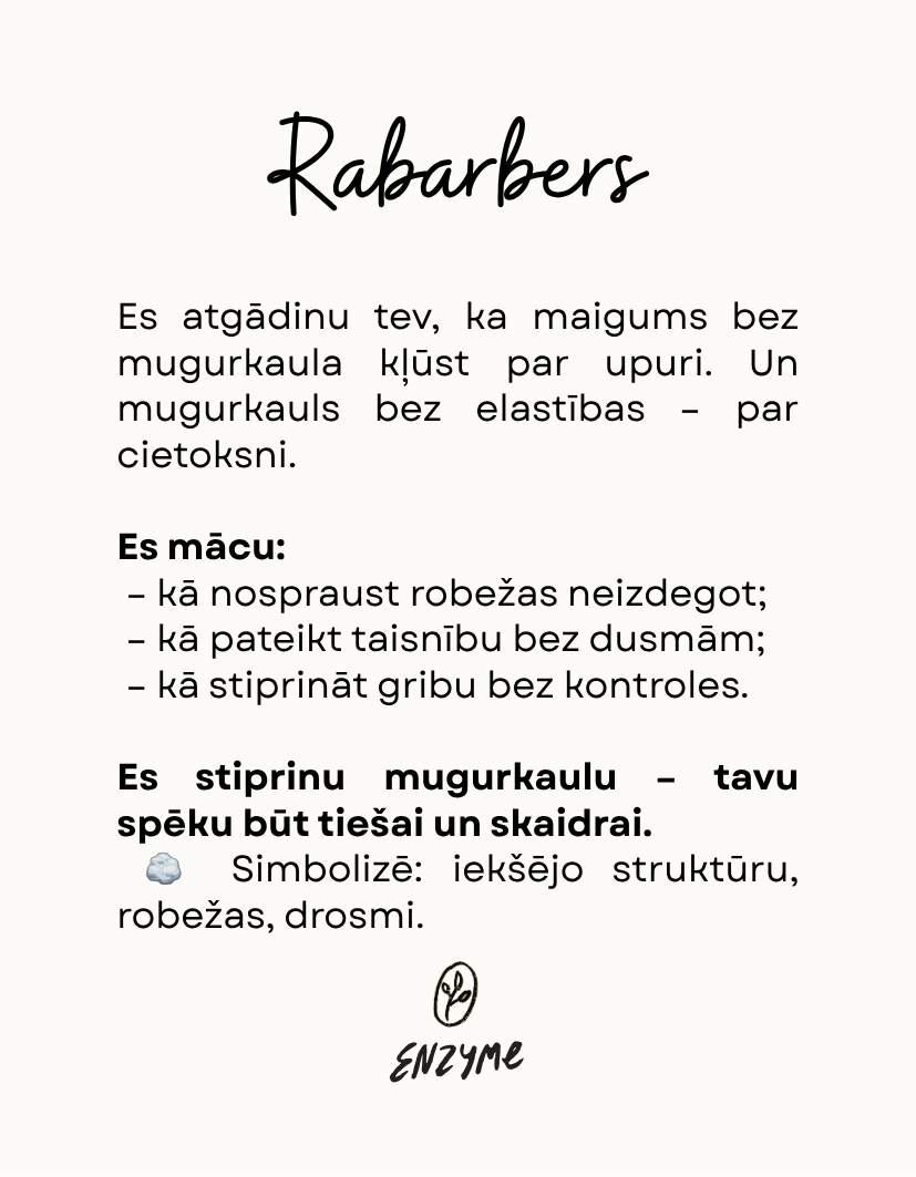 Rabarberi • Vīgriezes • Krustnagliņas