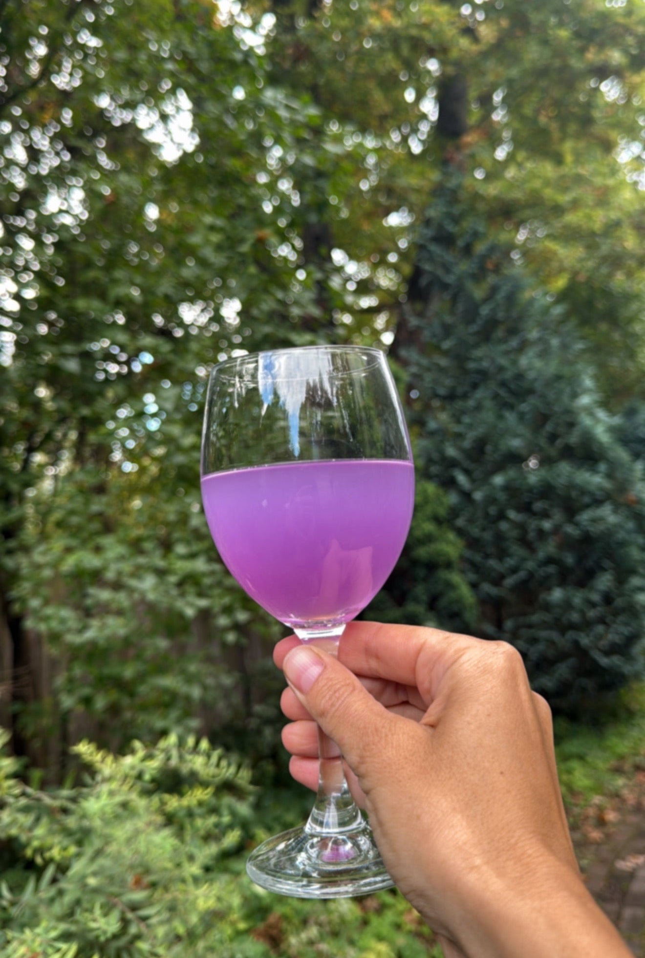 Bumbieri, Malvas Zilie Ziedi, Laims