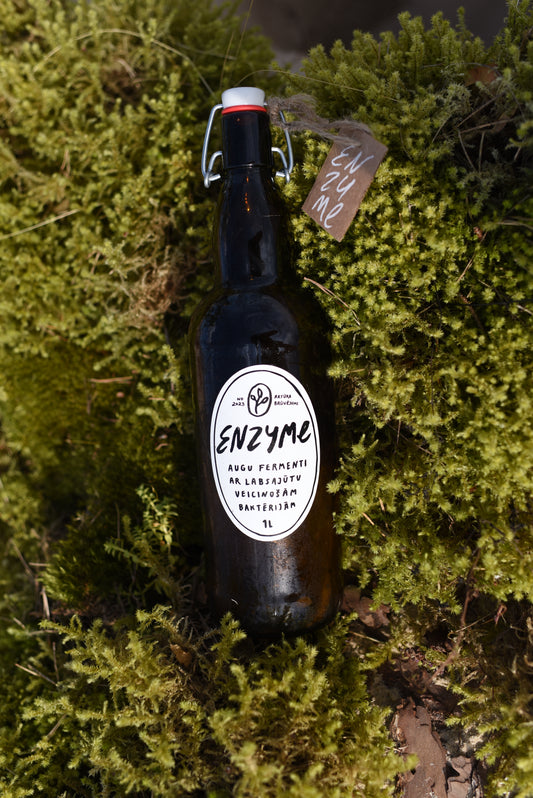 Cidonijas · Timiāns · Krustnagliņas