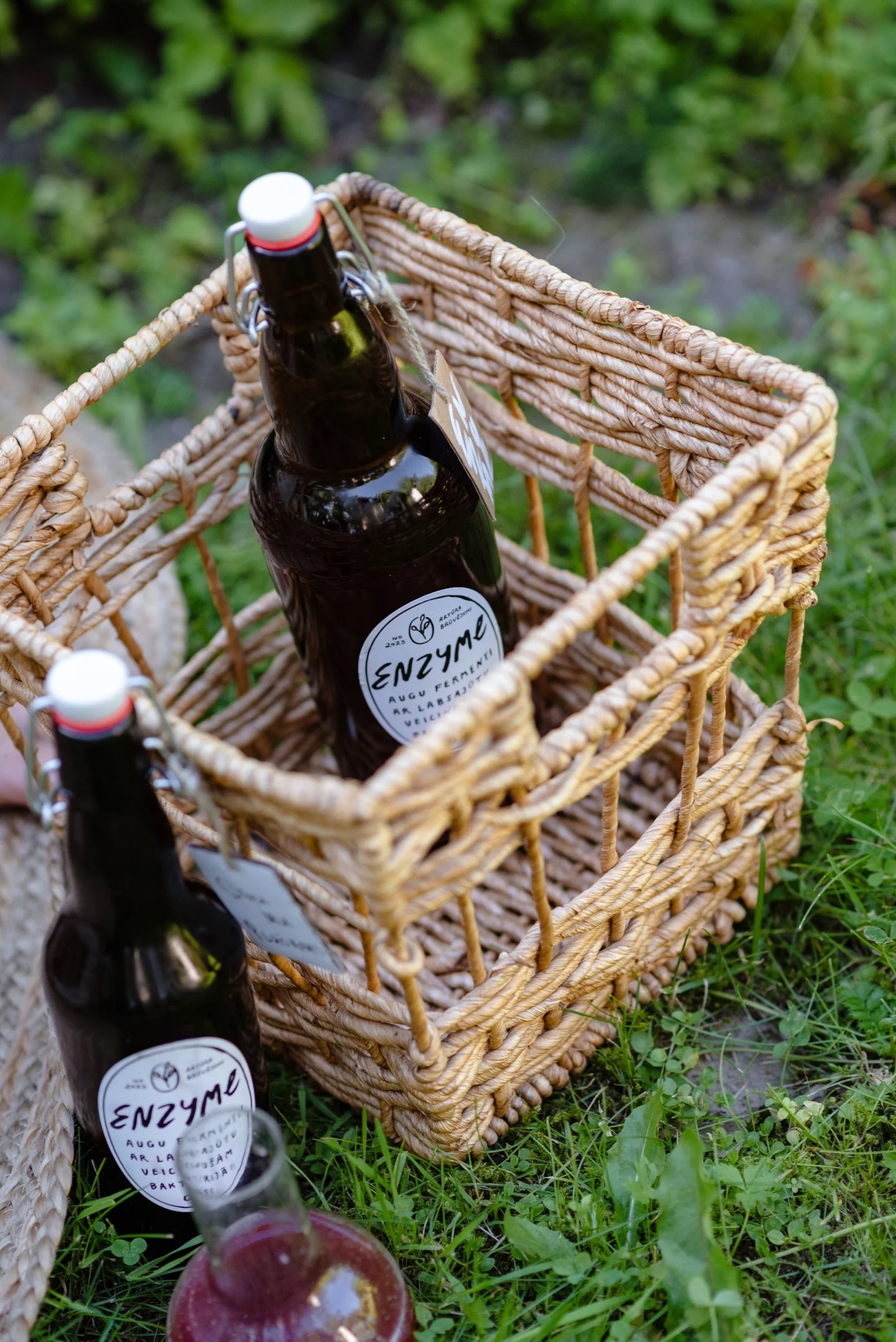 30 dienu Microbiome Reset komplekts