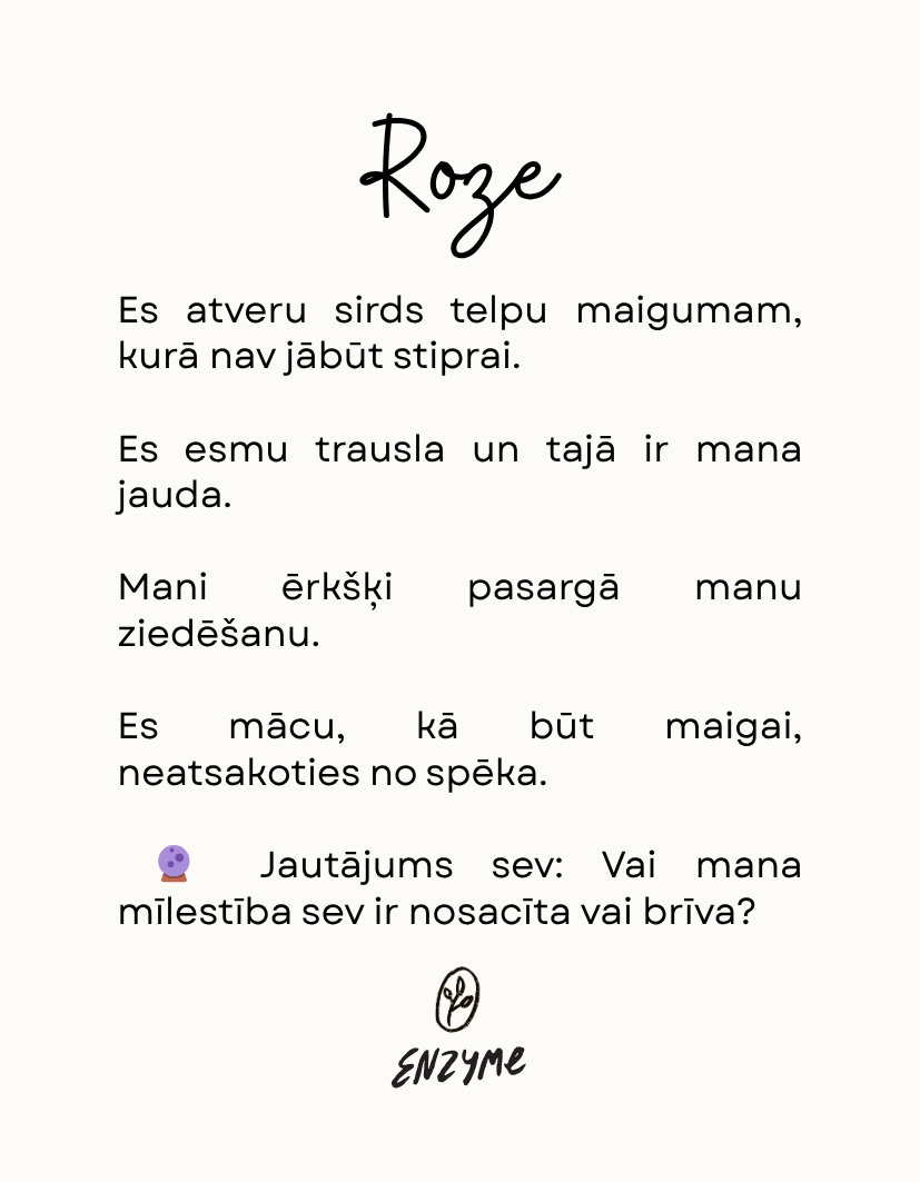 Rabarberi • Rozes • Laims