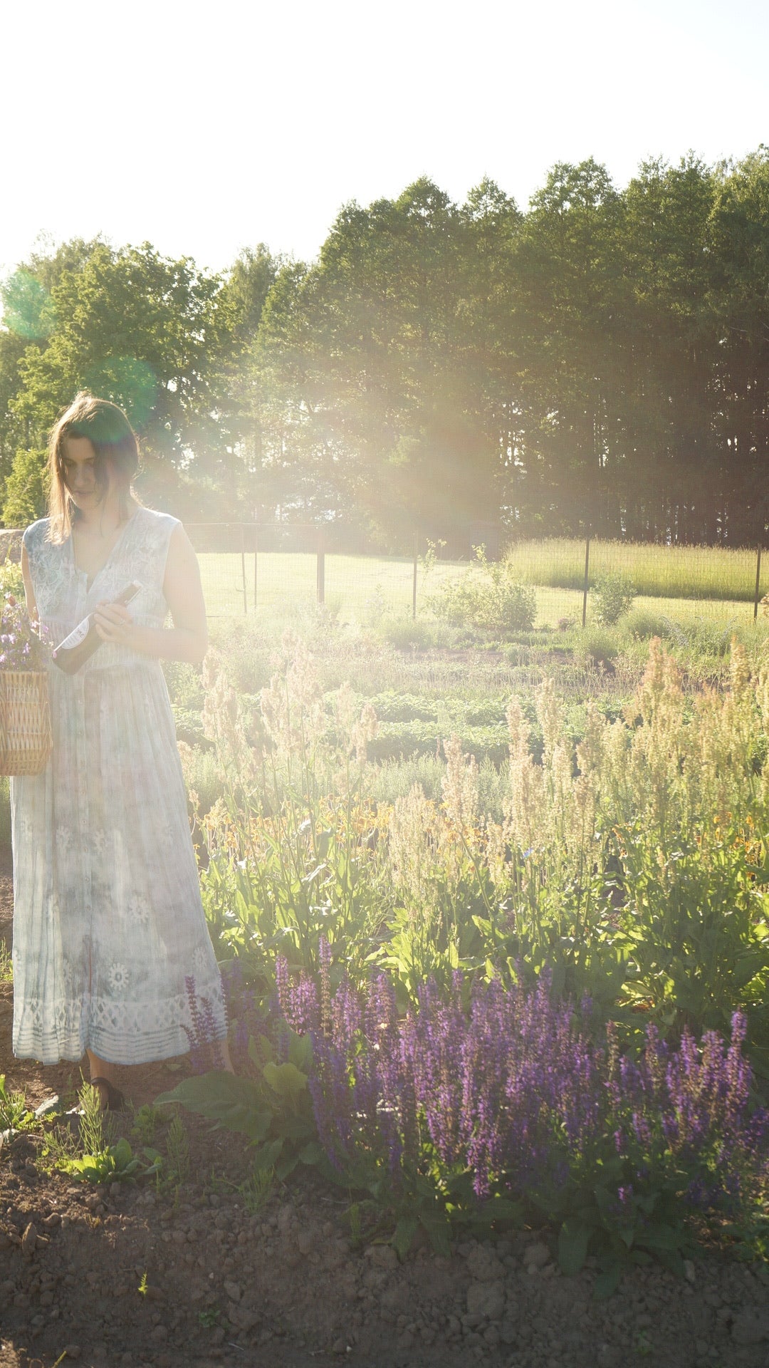 Dzīvais Probiotiskais Koncentrāts (30 ml)